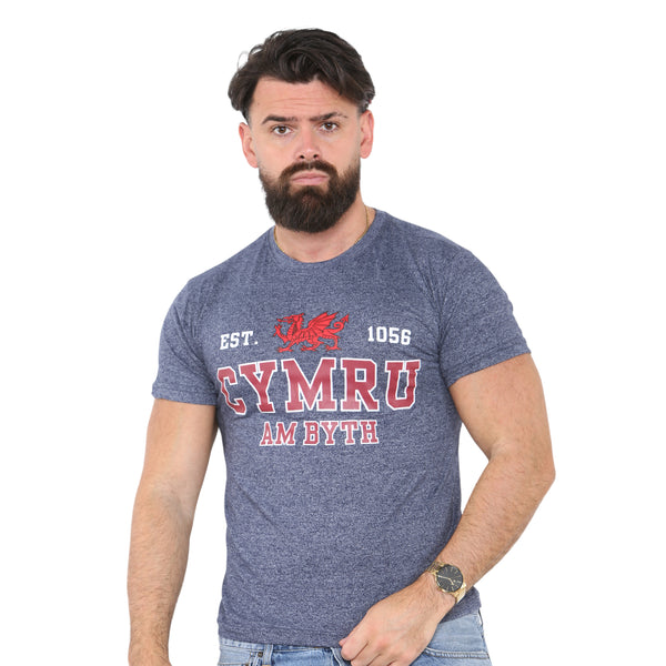 Wales Cymru am Byth 1056 T-Shirt