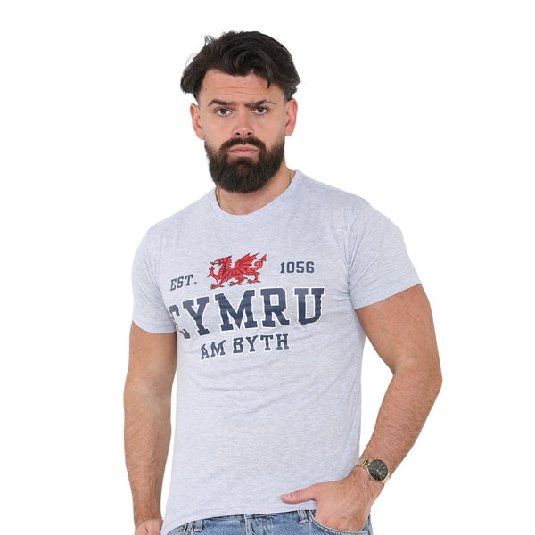 Wales Cymru am Byth 1056 T-Shirt