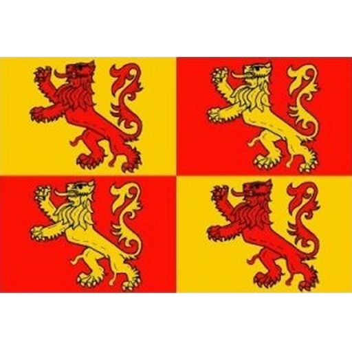 Owain Glyndwr Welsh Flag 5ft x 3ft
