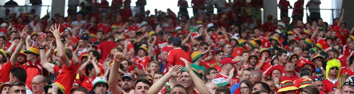 Welsh Supporter hats flags and scarfs The best  Welsh Hats, Flags and Scarfs and Toys at rock bottom prices!