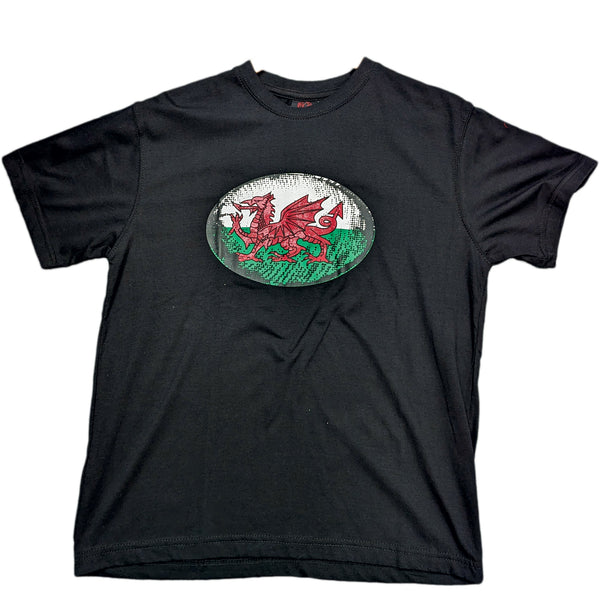 Welsh Flag Rugby Ball T-Shirt