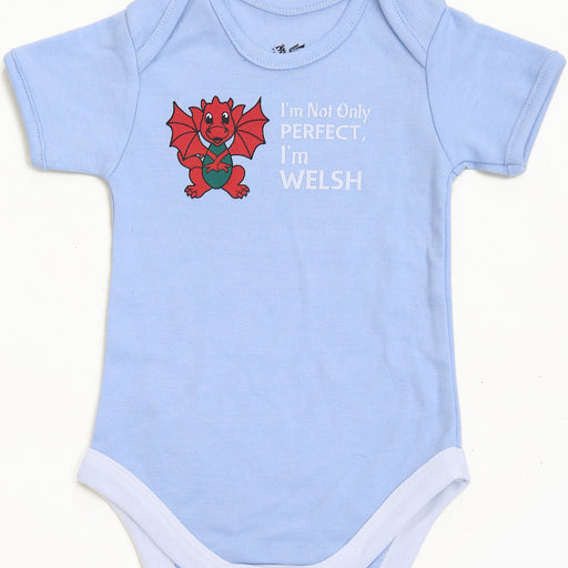 Not only Perfect I'm Welsh Cute Dragon Baby Vest