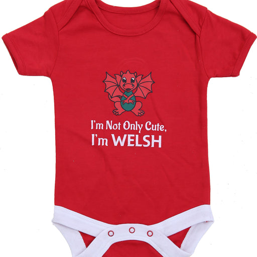 Not only Cute I'm Welsh Cute Dragon Baby Vest