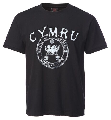 Land of My Fathers Welsh T-Shirt