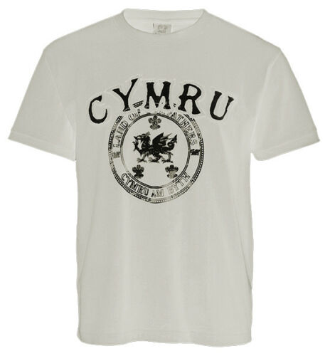 Kid's Land of My Fathers Welsh T-Shirt