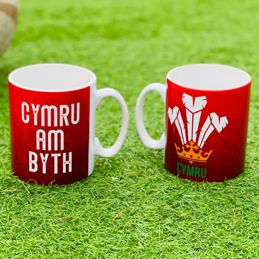 Cymru Am Byth - Welsh Feathers Mug