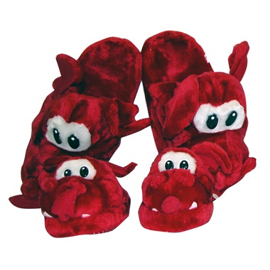 Welsh Dragon Kids Slippers