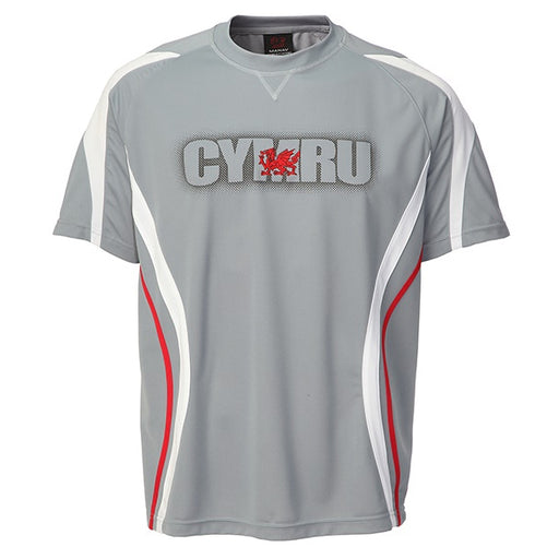Kids Aaran Cool Red Cymru T-Shirt - Grey
