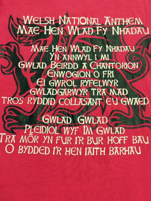 Ladies Welsh National Anthem Fitted T-Shirt - PINK