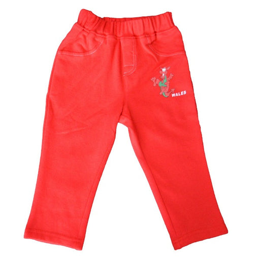 Baby Welsh Dragon Jog Pants