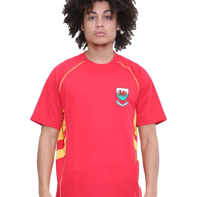 Kids Welsh Cymru Ryan Gold Football Shirt