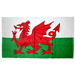 Welsh Flag Dragon Beach Towel