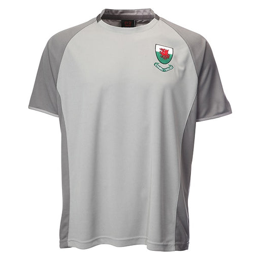 Kids Welsh 'Ramsey' Grey Football T-Shirt