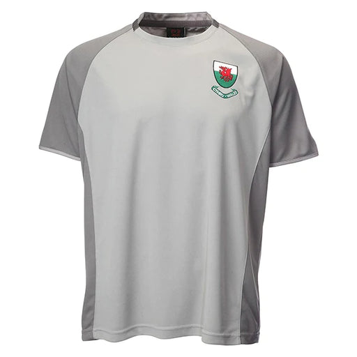 Kids Welsh 'Ramsey' Grey Football T-ShirtAdult Welsh 'Ramsey' Grey Football T-Shirt