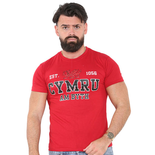 Wales Cymru am Byth 1056 T-Shirt