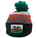 welsh Knotted bobble hat