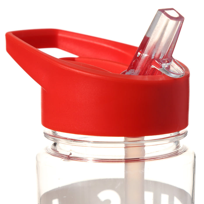 550ml Water Bottle Welsh Dragon Wales (Cymru) Souvenir