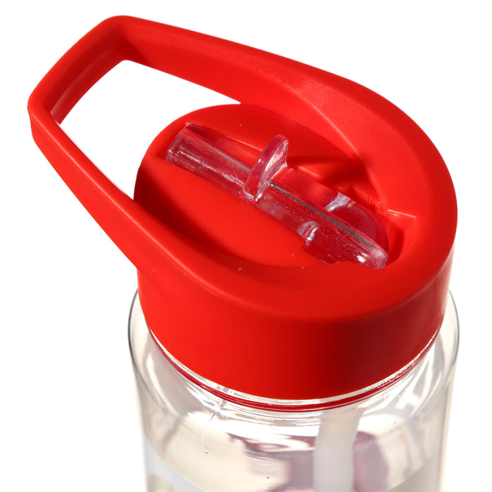 550ml Water Bottle Welsh Dragon Wales (Cymru) Souvenir