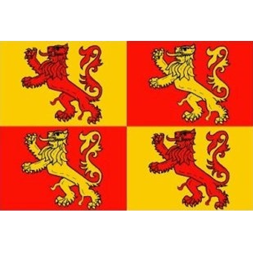 Owain Glyndwr Welsh Flag 3ft x 2ft — Just Wales