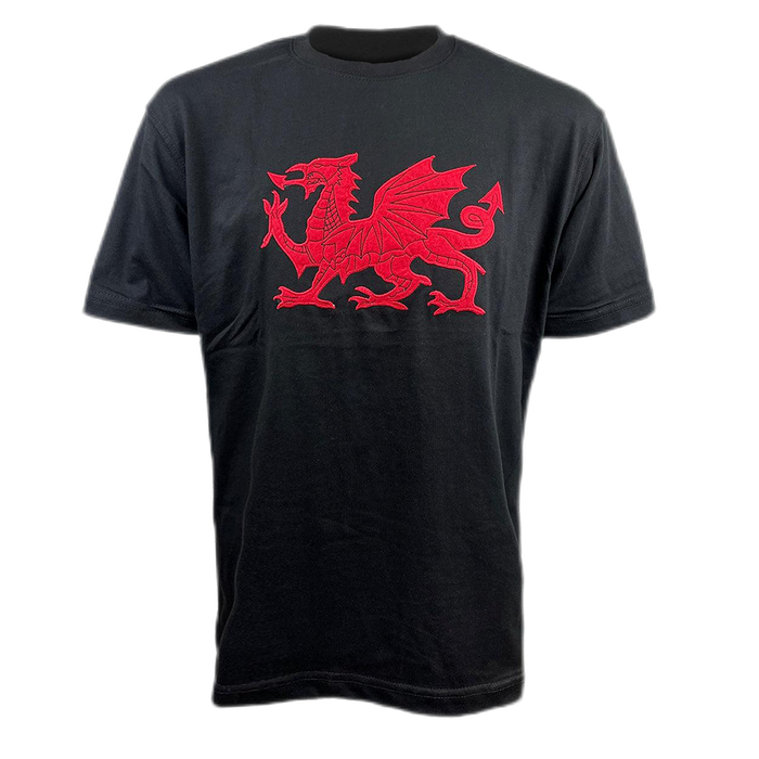 Applique Dragon T-Shirt