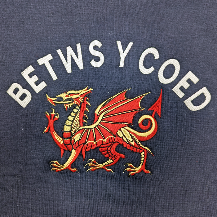 Betws-Y-Coed Hoodie