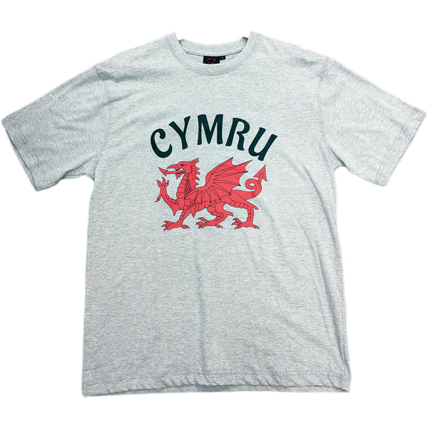 Cymru/Wales Printed T-Shirt