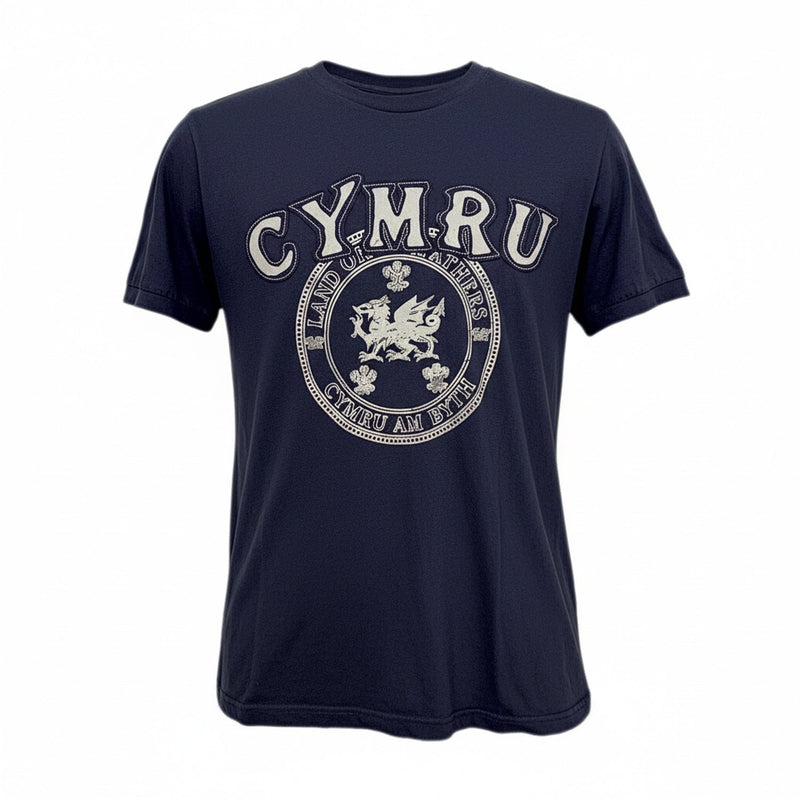 Land Of My Fathers T-Shirt