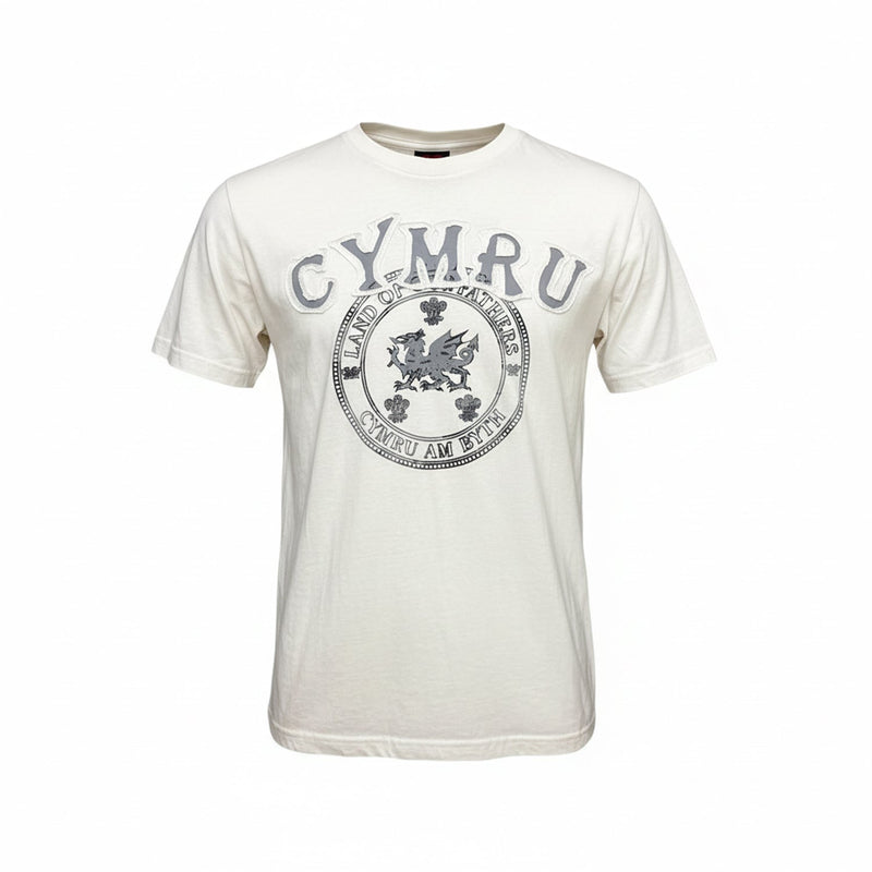Land Of My Fathers T-Shirt