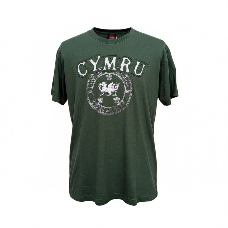 Land Of My Fathers T-Shirt