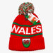 Welsh Rugby Shield Bobble Hat - RGW Bobble
